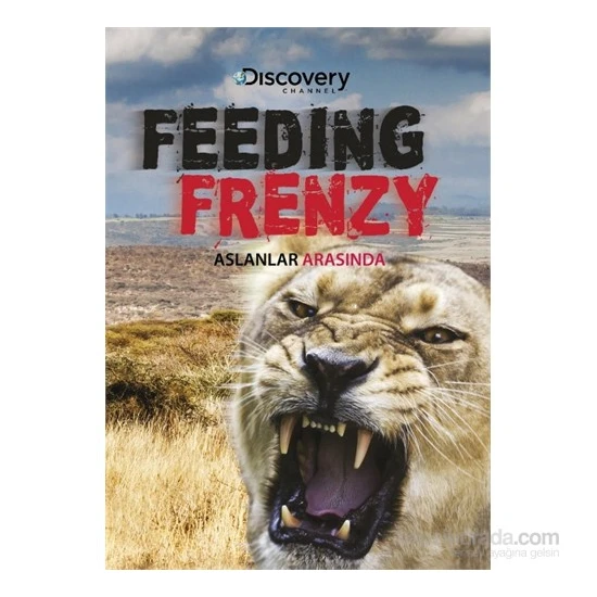 Lion Feeding Frenzy (Aslanlar Arasında) (DVD)