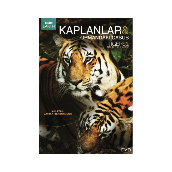 Tigers: Spy In The Jungle (Kaplanlar: Ormandaki Casus)