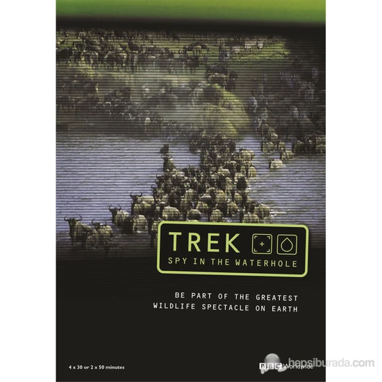 Trek: Spy On The Wildebeest (Antiloplar: Göç Yolundaki Casus)