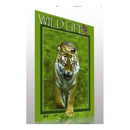 Wild Life (Karasal Hayvanlar) (VCD 10'lu Set)
