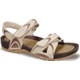  Renk Camel