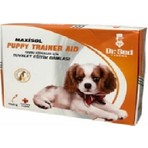 Maxisol Yavru Köpekler Için Tuvalet Eğitim Damlası 10 Adet 5 Gr