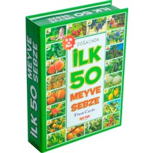 Diytoy Diy Toy Flash Cards Doğasında Ilk 50 Meyve Sebze