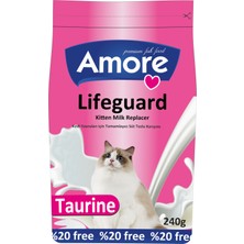 Amore Lifeguard Yavru Kedi Süt Tozu 240GR + Biberon Temizlik Seti 50ML