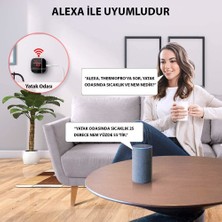 Thermopro TP90 Uzaktan Kontrollü, Alexa Uyumlu,wifi Isı Nem Ölçer