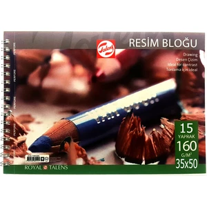 : Spiralli Çizim Bloğu : 160 gr : 35 cm x 50 Cm: 15 Yaprak