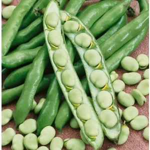 Karahasanoğlu Tarım Hilal Bakla Tohumu 100 gr Ort 60 Ad Tohum