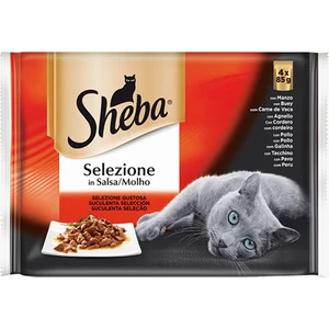 Etli Seçenekli 4 Al 3 Öde Kedi Pouch Konservesi 4X85 gr