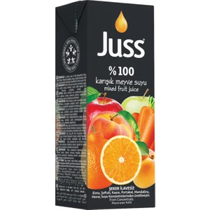 JUSS %100 ELMA KARIŞIK 200 ML SLİM