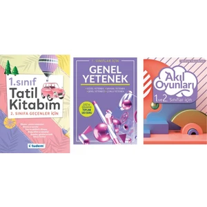 Tudem Yayınları 1. Sınıf Tatil Kitabım - Genel Yetenek - Akıl Oyunları 3 Kitap