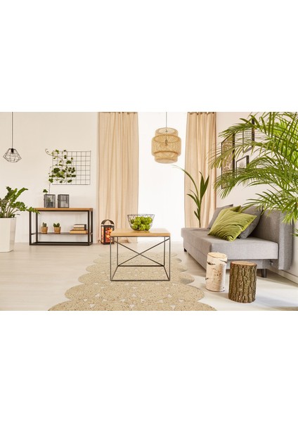 Çam Halı Patna Ptn 01 Natural Eko Halı fiyatları