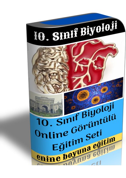 Enine Boyuna Eğitim 10. Sınıf Biyoloji Online Görüntülü Eğitim Seti