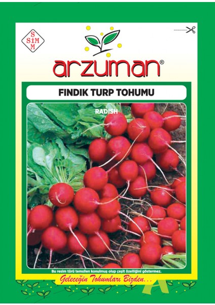 Fındık Turp Tohumu 25 gr 0rt 2250 Ad Tohum