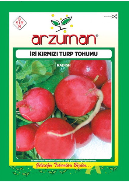 Kırmızı Turp Tohumu 10 gr Takribi 900 Adet Tohum