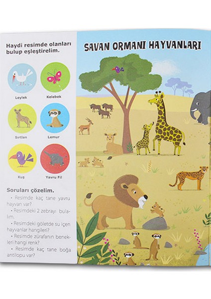 Benim Ilk Yapıştırmalarım Seti 4 Kitap fırsatları