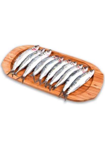 Balık - Sardalya 1 kg