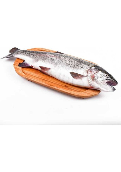 Balık - Türk Somonu 1 kg