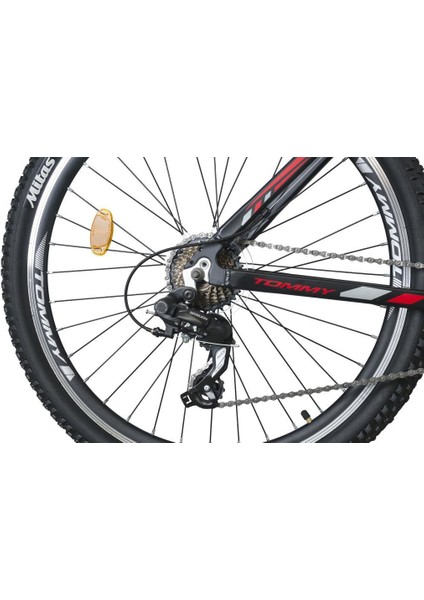 Belista Alüminyum Kadro 24 Jant 21 Vites Dağ Bisikleti fiyatları