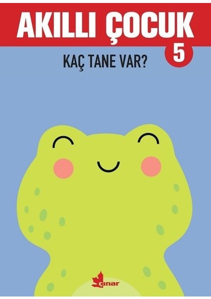Akıllı Çocuk 5 – Kaç Tane Var?
