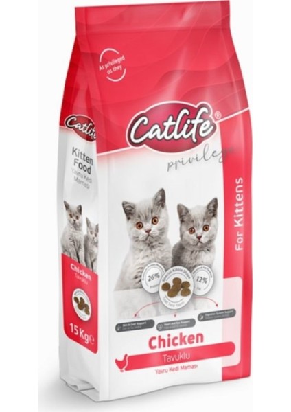 Kitten Tavuklu Yavru Kedi Maması