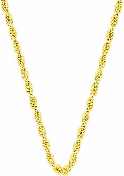 Burgu 14 Ayar Altın Zincir 55 cm