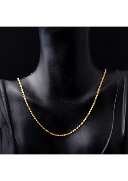 Burgu 14 Ayar Altın Zincir 55 cm fiyatları