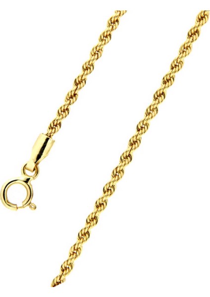 Burgu 14 Ayar Altın Zincir 55 cm indirimleri