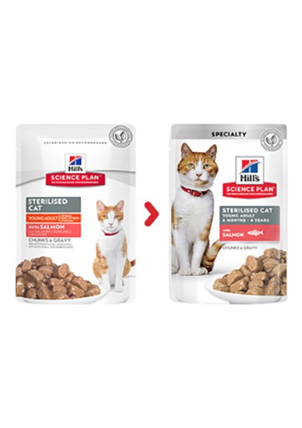 Kısırlaştırılmış Somonlu Kedi Pouch Konservesi 6X85 gr