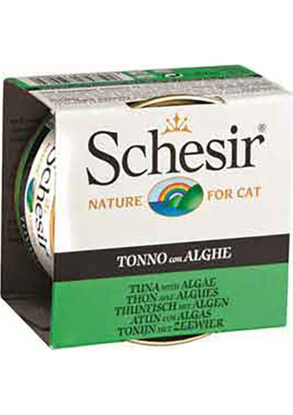 Ton Balıklı Yosunlu Jelly Yetişkin Kedi Konservesi 85 gr