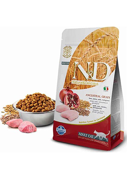 Düşük Tahıllı Tavuk & Narlı Yetişkin Kedi Maması 1,5 kg