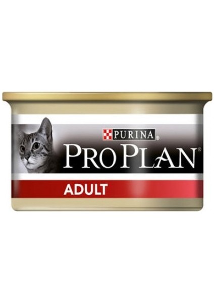 Tavuklu Yetişkin Kedi Konservesi 12X85 gr