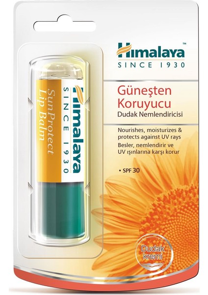 Güneş Koruyucu SPF 30 Dudak Kremi, Nemlendirici, Besleyici, %100 Doğal Renk, Silikon İçermez, 4,5 gr