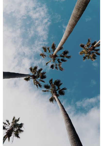 1.sınıf Kanvas Tablo