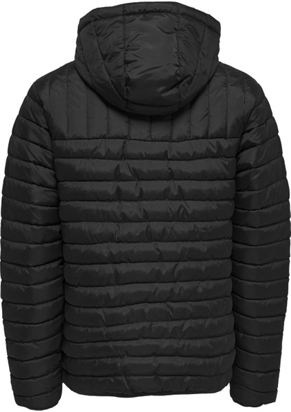 &sons Erkek Mont Paul Quilted Hood 22015121-BLK