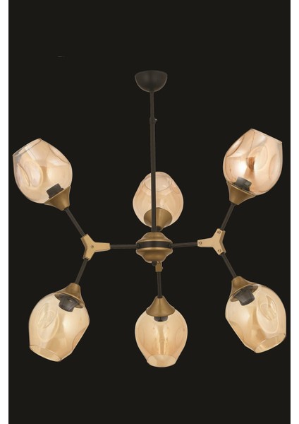 Olimpus 6'lı Siyah Modern Avize