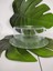 Morzahome Cam Kek Fanus Kapağı Plastik (ÇAP:28CM YUK:11CM) 1