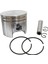 Wolfmac Motorlu Testere Piston Segman STIHL-MS250/025 42,5 mm 1