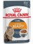 Intense Beauty Gravy Kedi Konservesi 85 gr 1