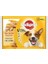 Yetişkin Köpek Multipack Pouch 4X100 gr 1
