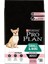 Small & Mini Somonlu Küçük Irk Köpek Maması 3 kg 1
