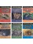 Hayvanlarda Saldırı ve Savunma Set 6 Kitap 1
