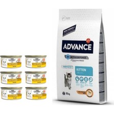 Advance Kitten 1,5 kg Tavuklu Yavru Kedi Maması + Gourmet 85 gr Karışık Konserve