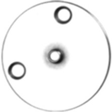 Hard Steel Juki Yuvarlak Plaka / MAZ-15801-000