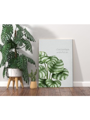 Bk Gift Green Plant Tasarımlı Kanvas Tablo 70X100CM-1