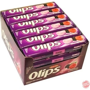 Olips Orman Meyveli 24'lü