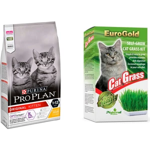 Pro Plan Proplan Kitten Junior Yavru Tavuklu Chicken Kedi Maması 3 kg ve Kedi Çimi