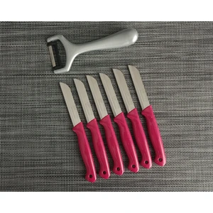 6'lı Meyve Bıçağı ve Soyacak  Simli Pembe 7'li Set