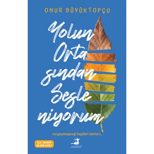 Yolun Ortasından Sesleniyorum - Onur Büyüktopçu