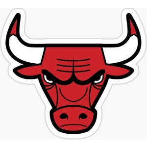 Sticker Fabrikası Chicago Bulls Boğa Boğası Amblem Logo Çıkartma Sticker 00986