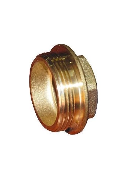 Sarı Körtapa fiyatları